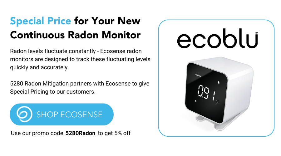 Ecosense Radon Monitors